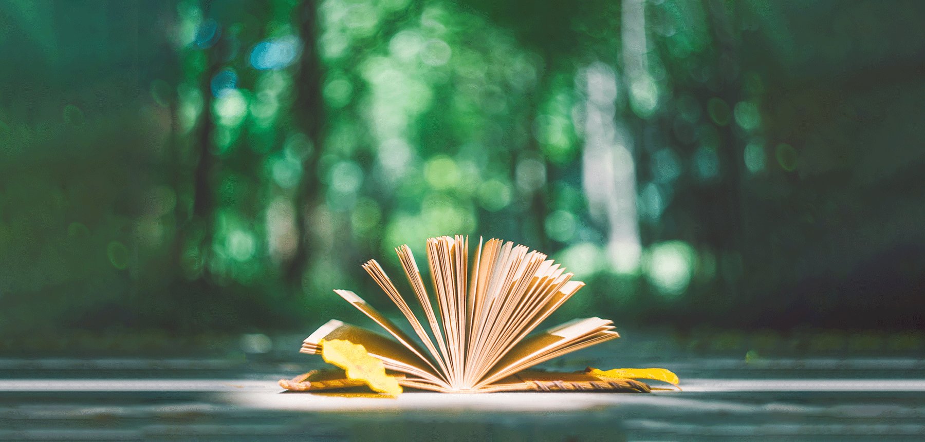 全体威尼斯最新网站应将师德修养融入日